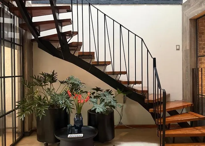 La Chula, Stylish In Condesa And Rooftop Bar Apartamento